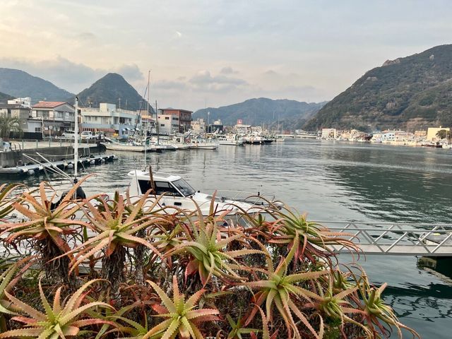 Тематическая экскурсия по Идзу: местные жители в литературе