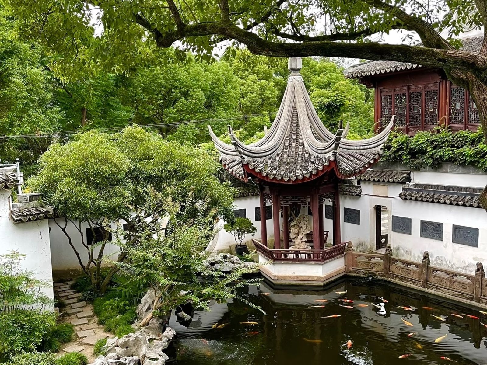 Пруд с карпами