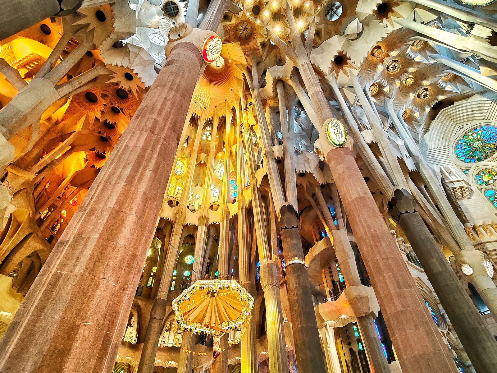 Ветви колонн держат невероятный потолок