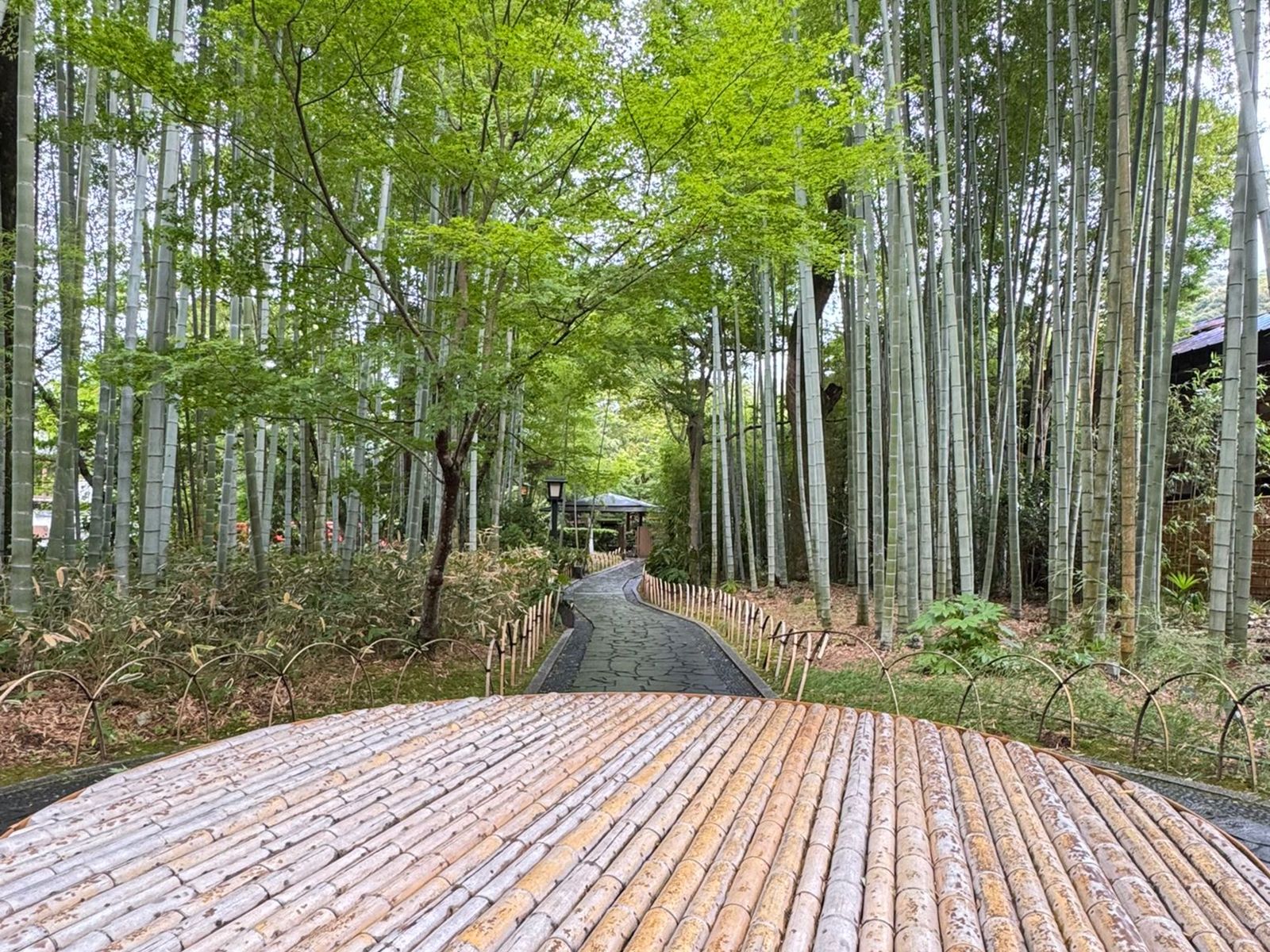 На экскурсии