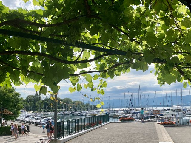 Индивидуальная обзорная экскурсия из Лозанны в Женеву и Ивуар