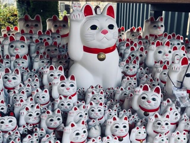 Индивидуальная обзорная экскурсия по мистическому Западному Токио