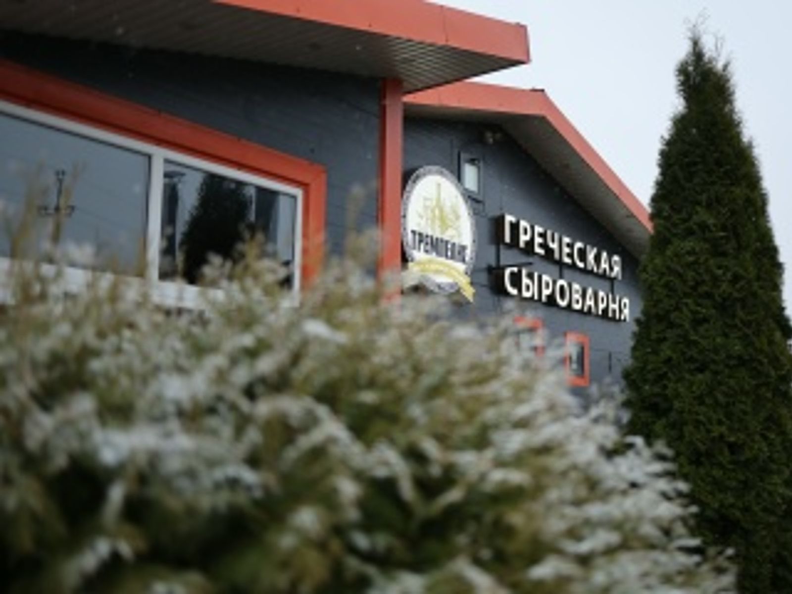 Греческая сыроварня