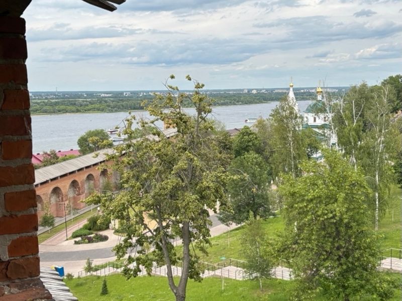Виды