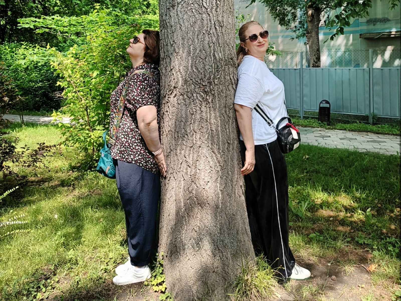 Подзарядка от дерева в Курортном парке