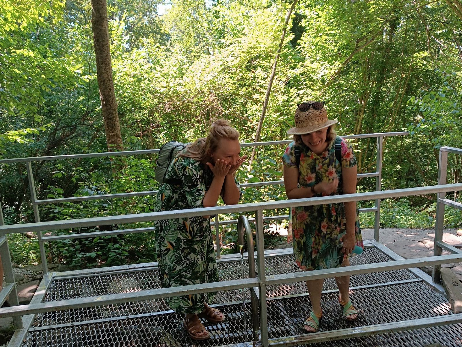 Лесной источник в парке Дыхание гор