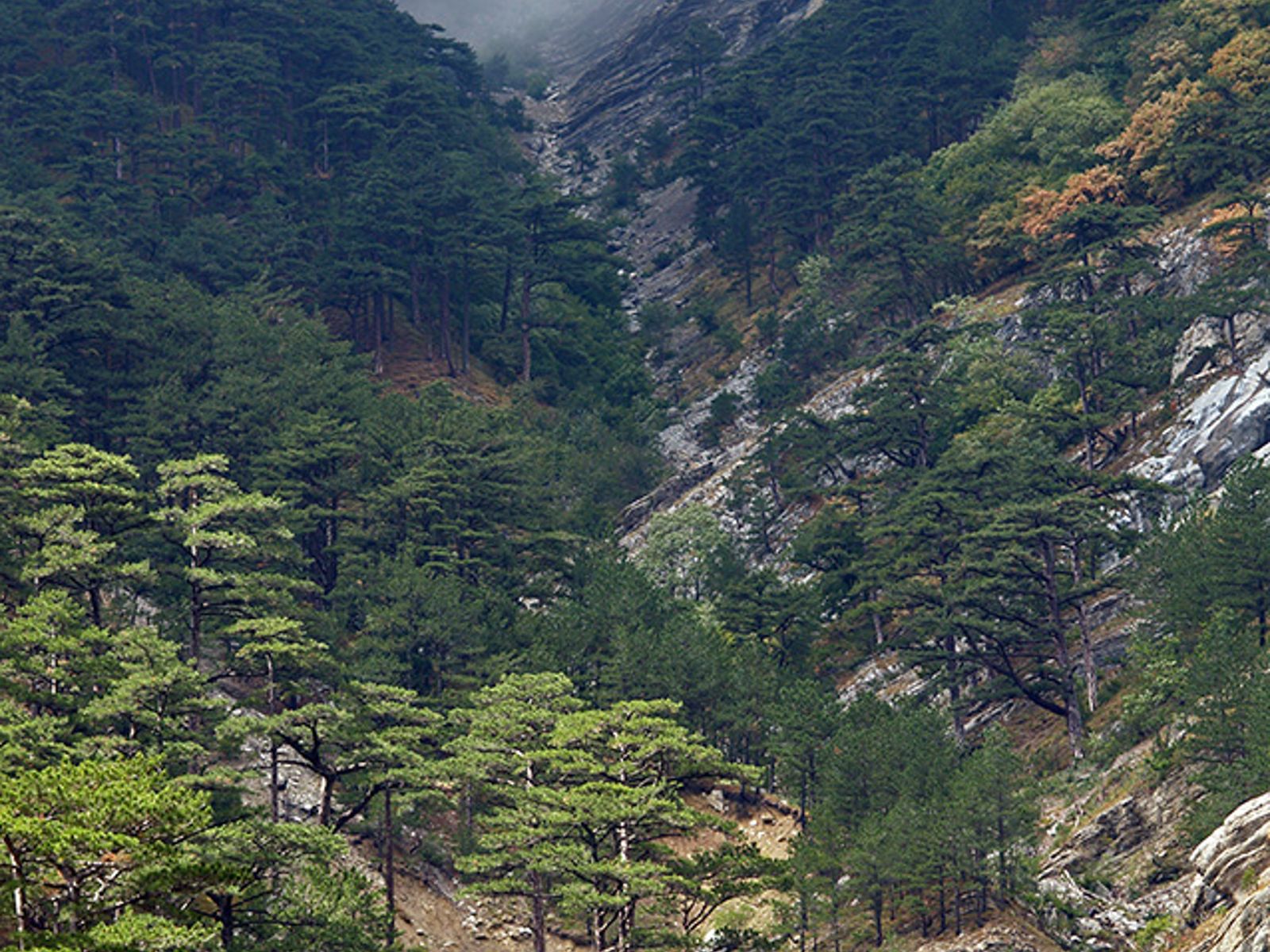 Заповедник