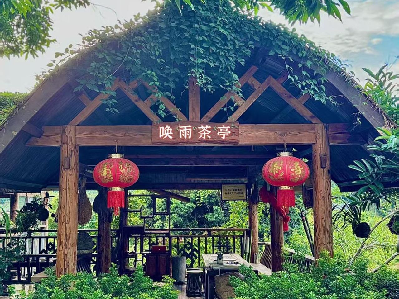 Индивидуальная экскурсия из Санья на чайную плантацию - индивидуальная экскурсия на Хайнане на машине гида длительностью 5 часов с количеством участников до 6 человек цена экскурсии 200$