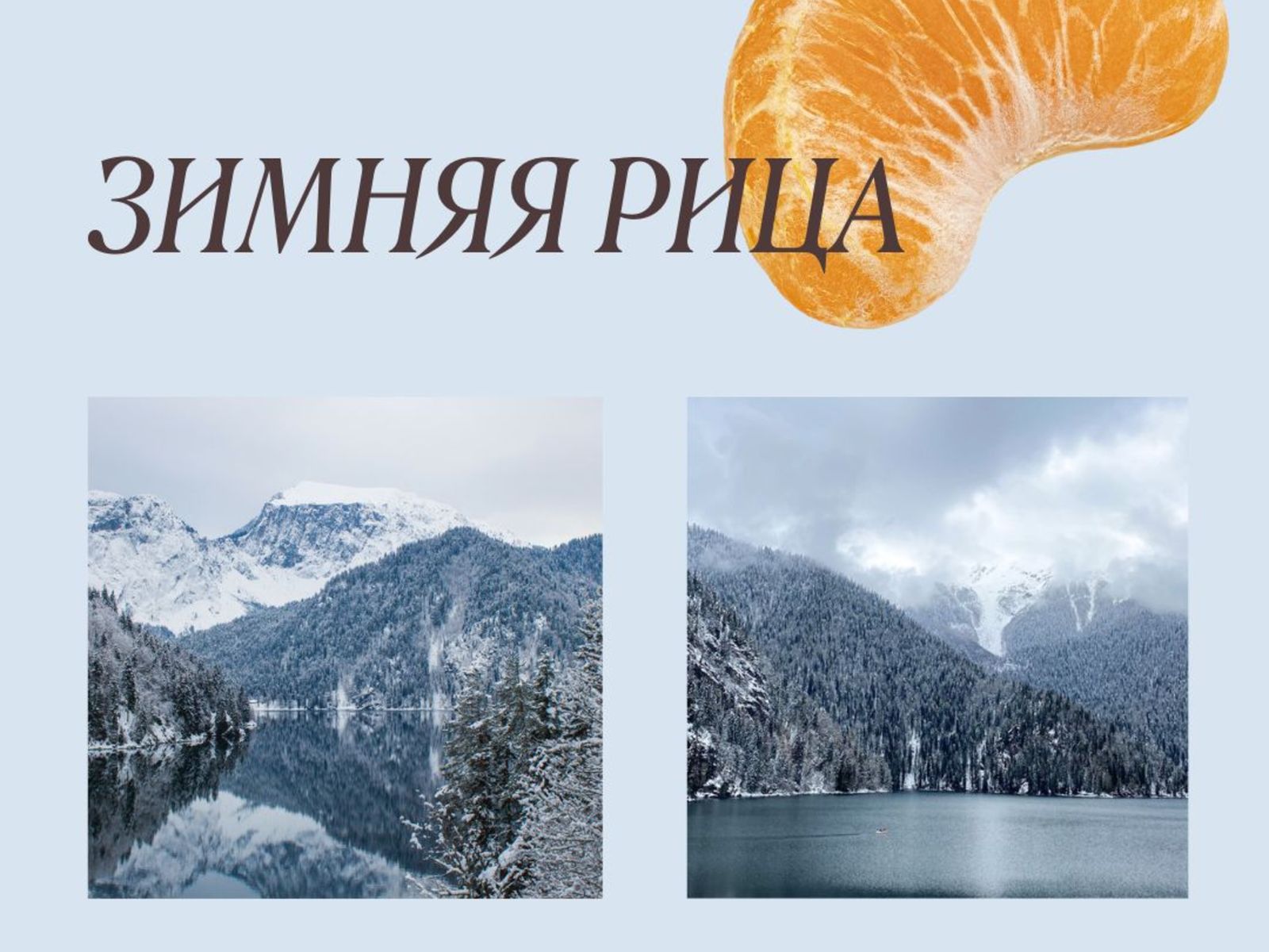 Зимняя Рица