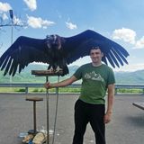 Гид Павел на GuideGo