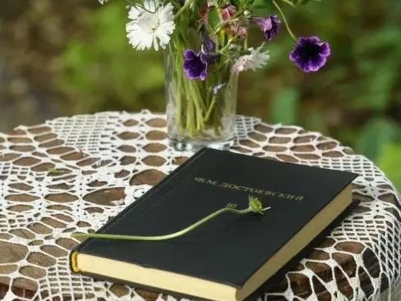 Книга