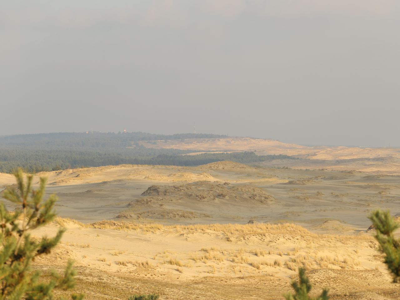 Авторская фотоэкскурсия на Куршскую косу и в Зеленоградск - индивидуальная экскурсия в Калининграде на машине гида длительностью 7 часов с количеством участников до 4 человек со скидкой 20% цена экскурсии 15200₽