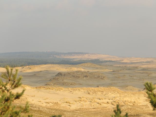 Авторская фотоэкскурсия на Куршскую косу и в Зеленоградск