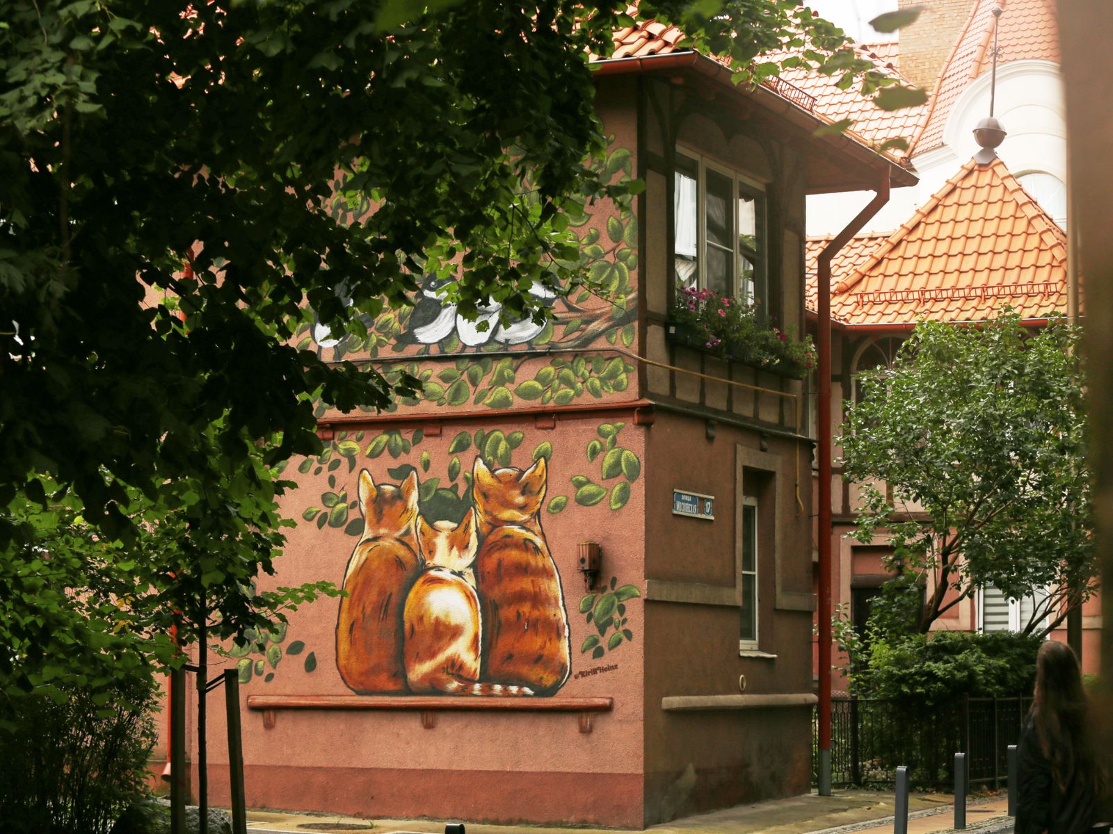 Зеленоградск 