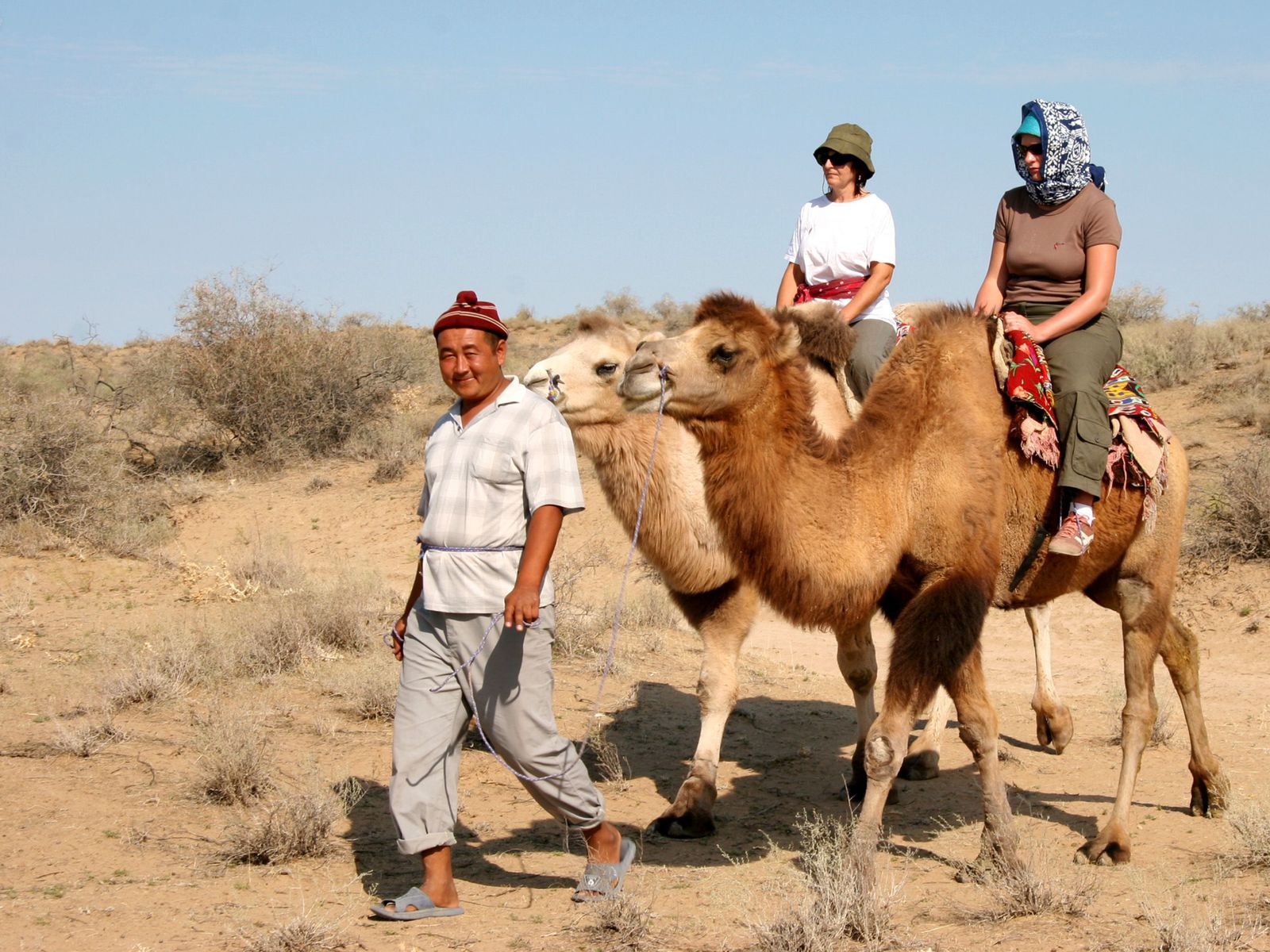 Пустыня Кызылкум