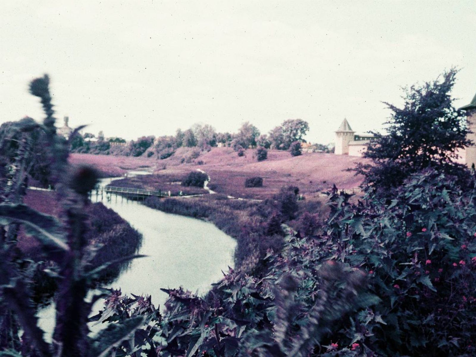 Панорама с реки Каменка