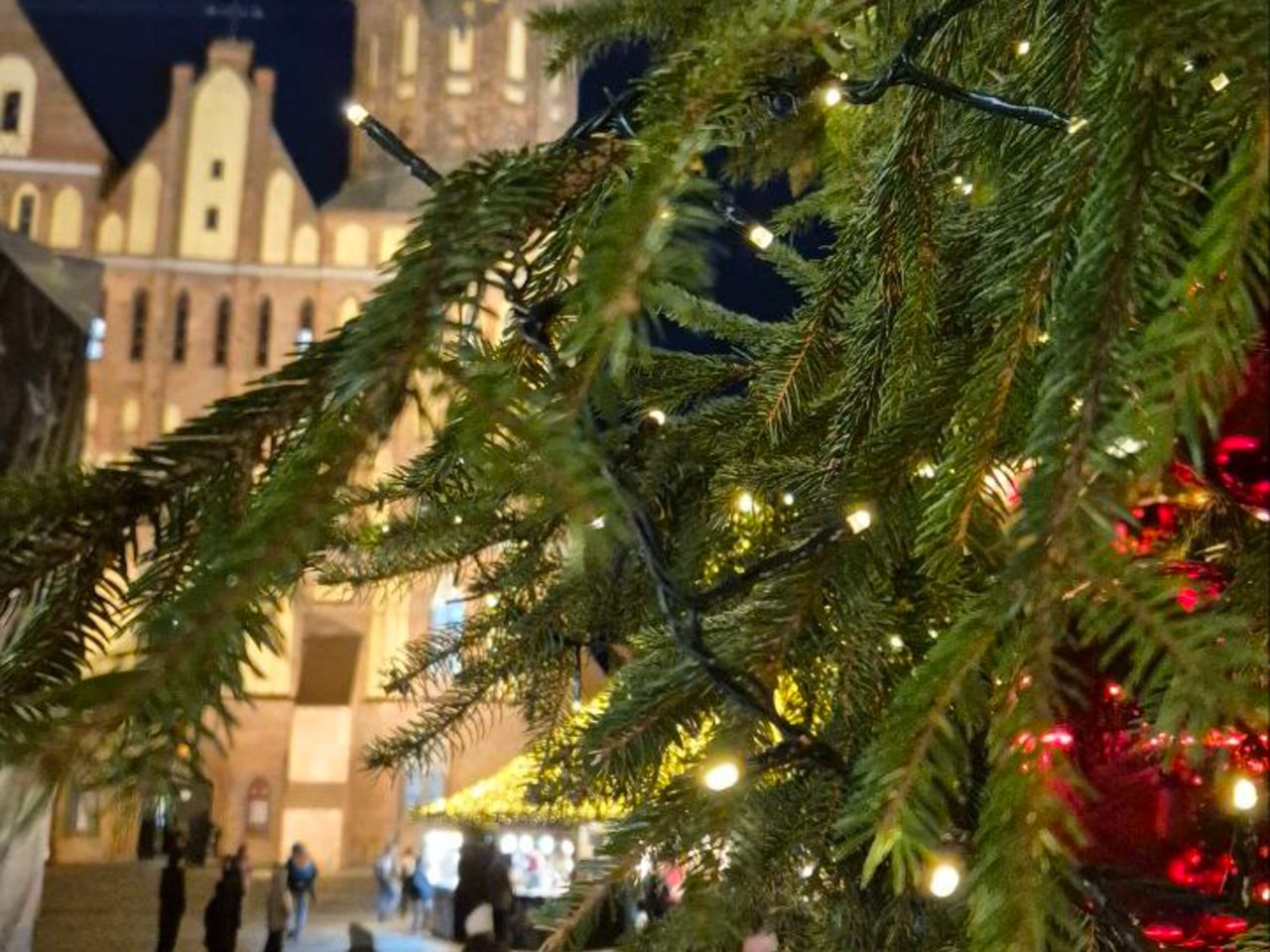 Пешеходная обзорная экскурсия по Калининграду - индивидуальная экскурсия в Калининграде пешком длительностью 3.5 часа с количеством участников до 10 человек цена экскурсии 8000₽