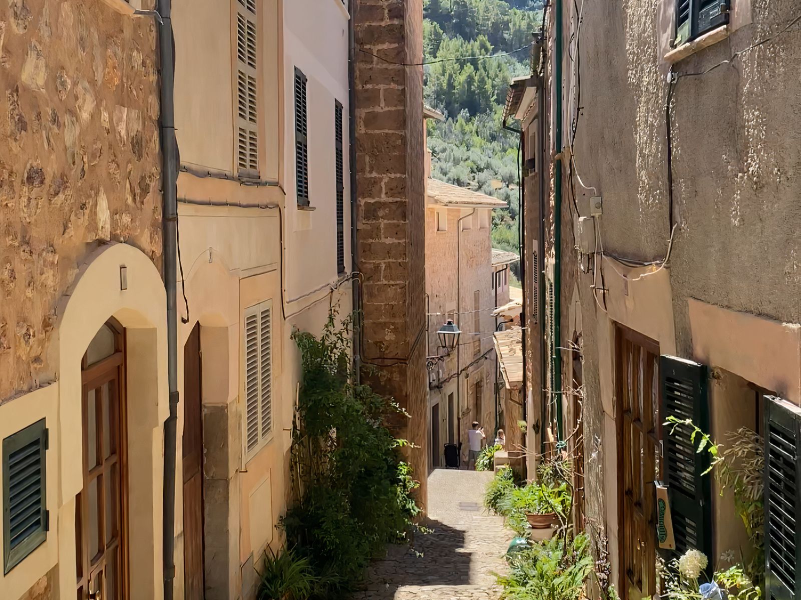 Застройка в Форналуче
