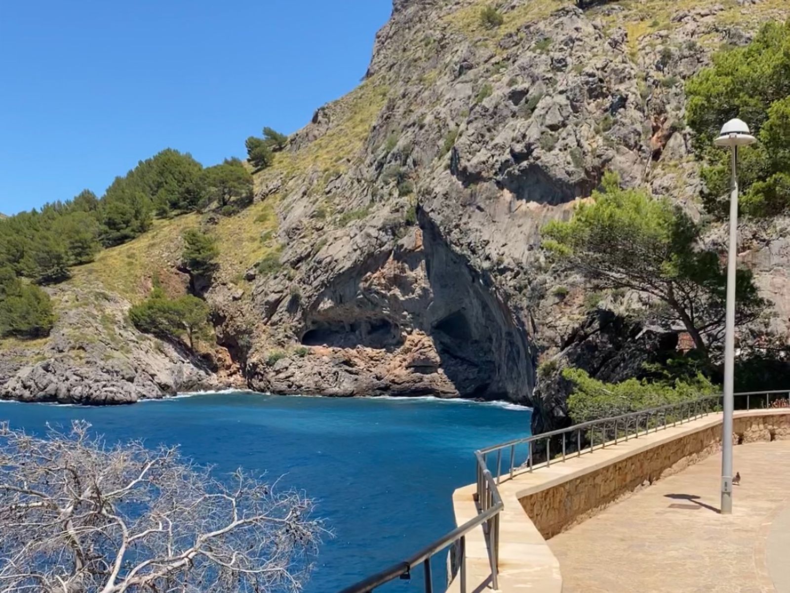 Природа в Са-Колобра