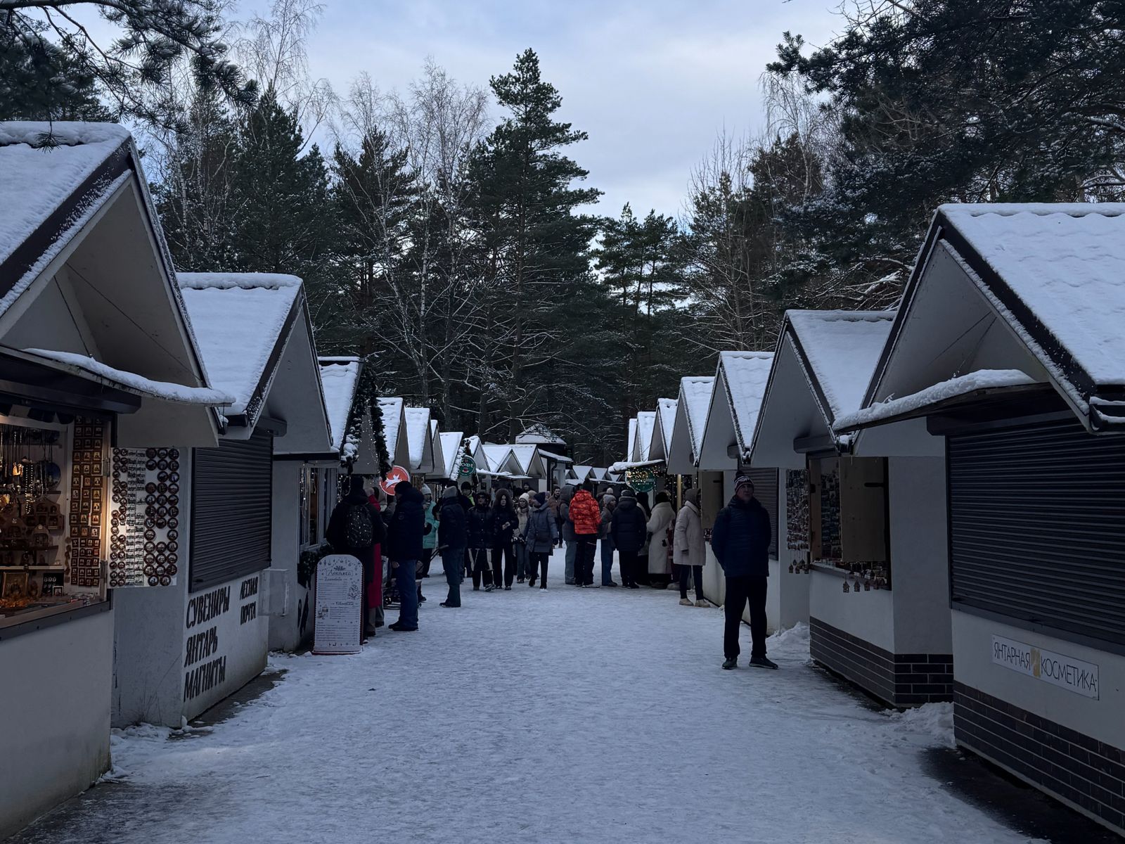 Начало экотропы Танцующий лес