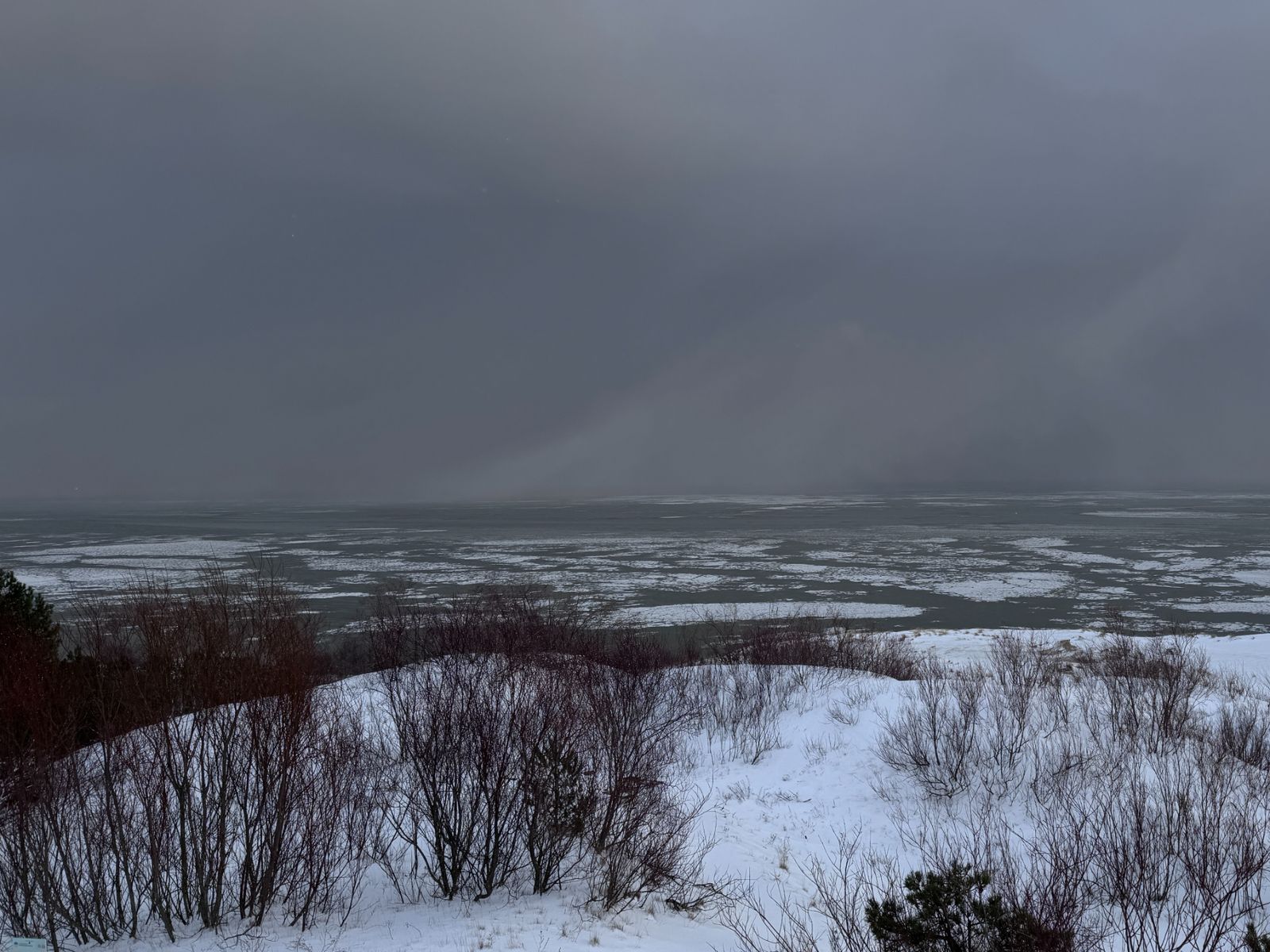 Куршский залив