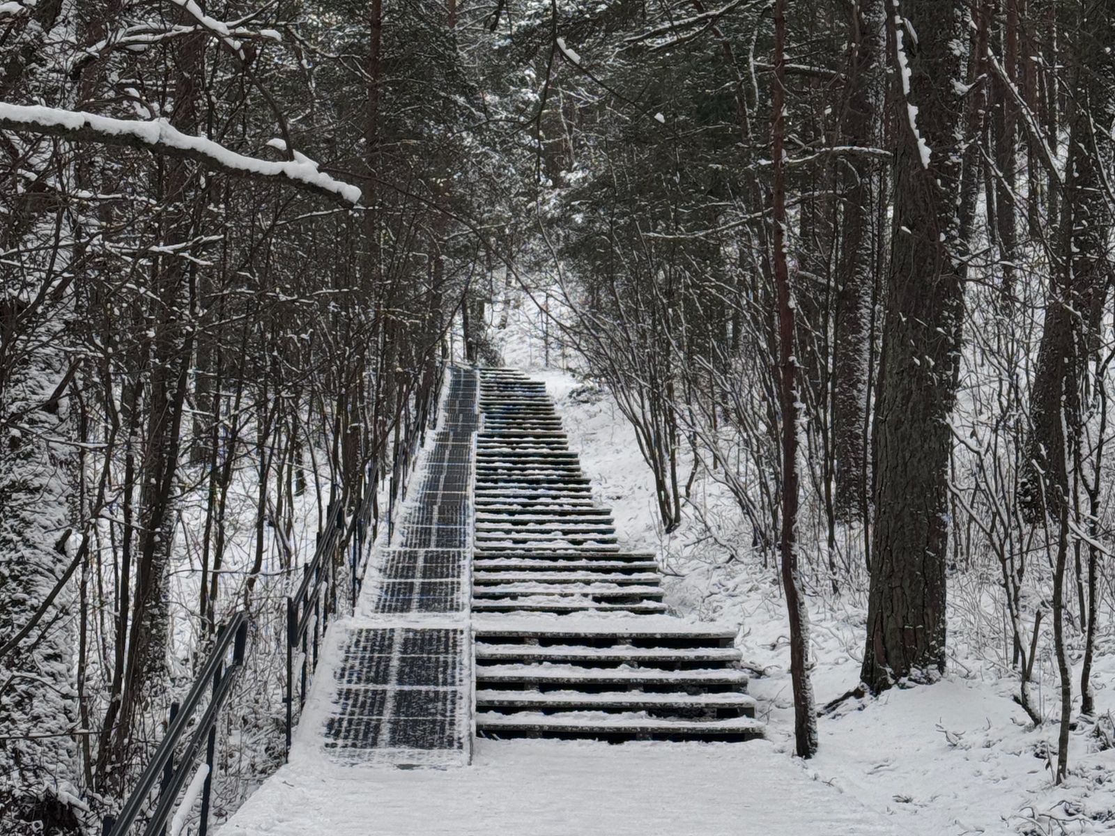 Экотропа Высота Эфа