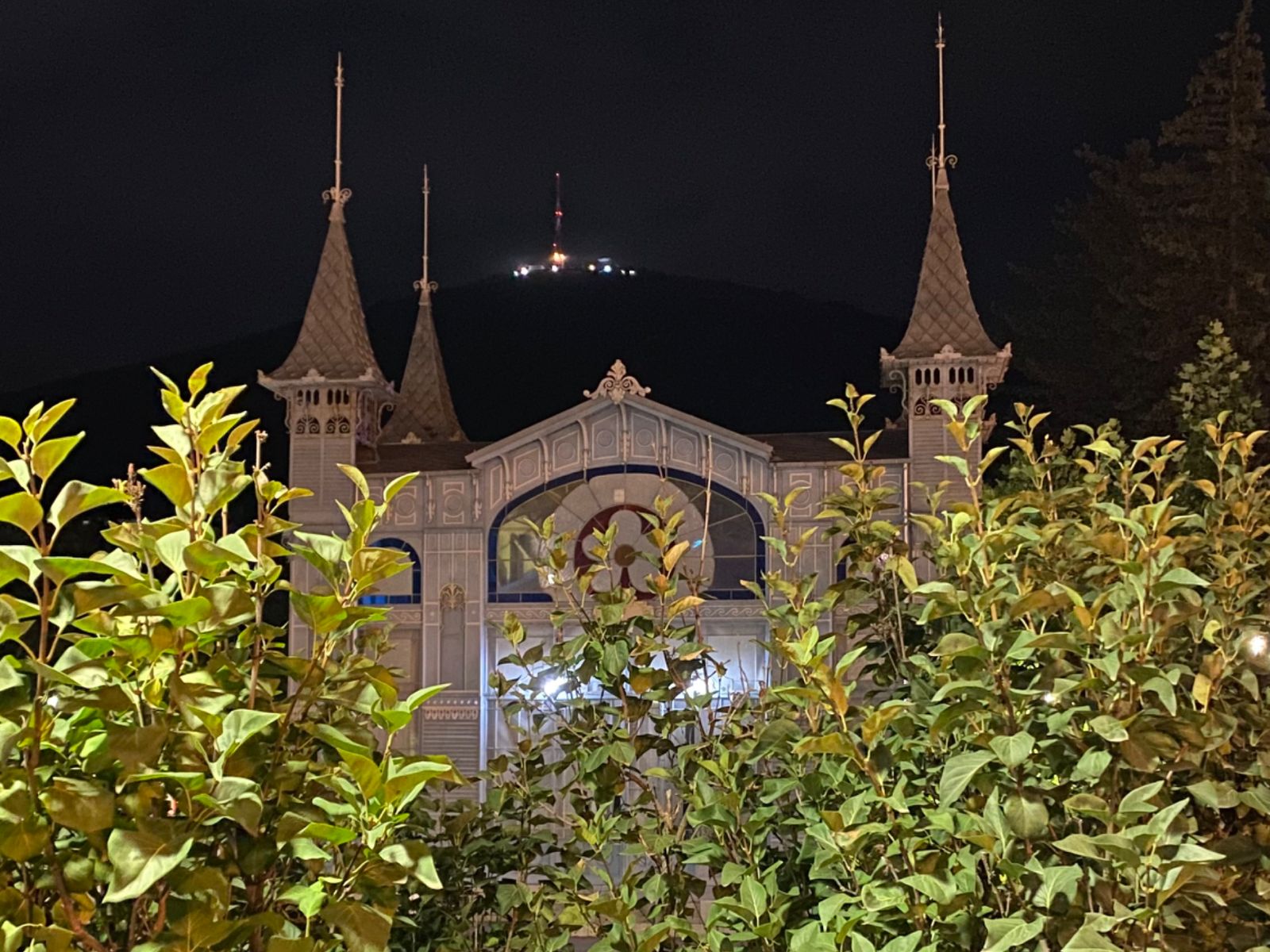 Лермонтовская галерея и гора Машук