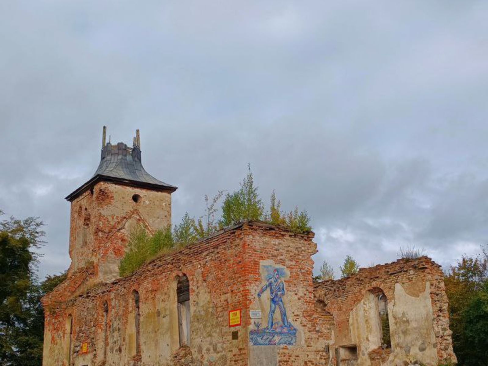 Зеленополье