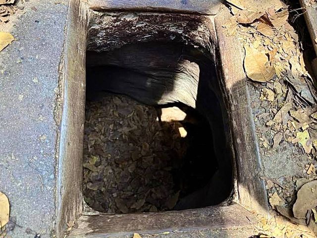 Индивидуальная обзорная экскурсия в туннели Кучи из Хошимина — фото 3