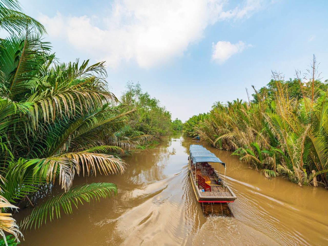 Индивидуальная экскурсия из Хошимина в дельту реки Меконг - индивидуальная экскурсия в Хошимине на машине гида длительностью 8 часов с количеством участников до 2 человек цена экскурсии 325$