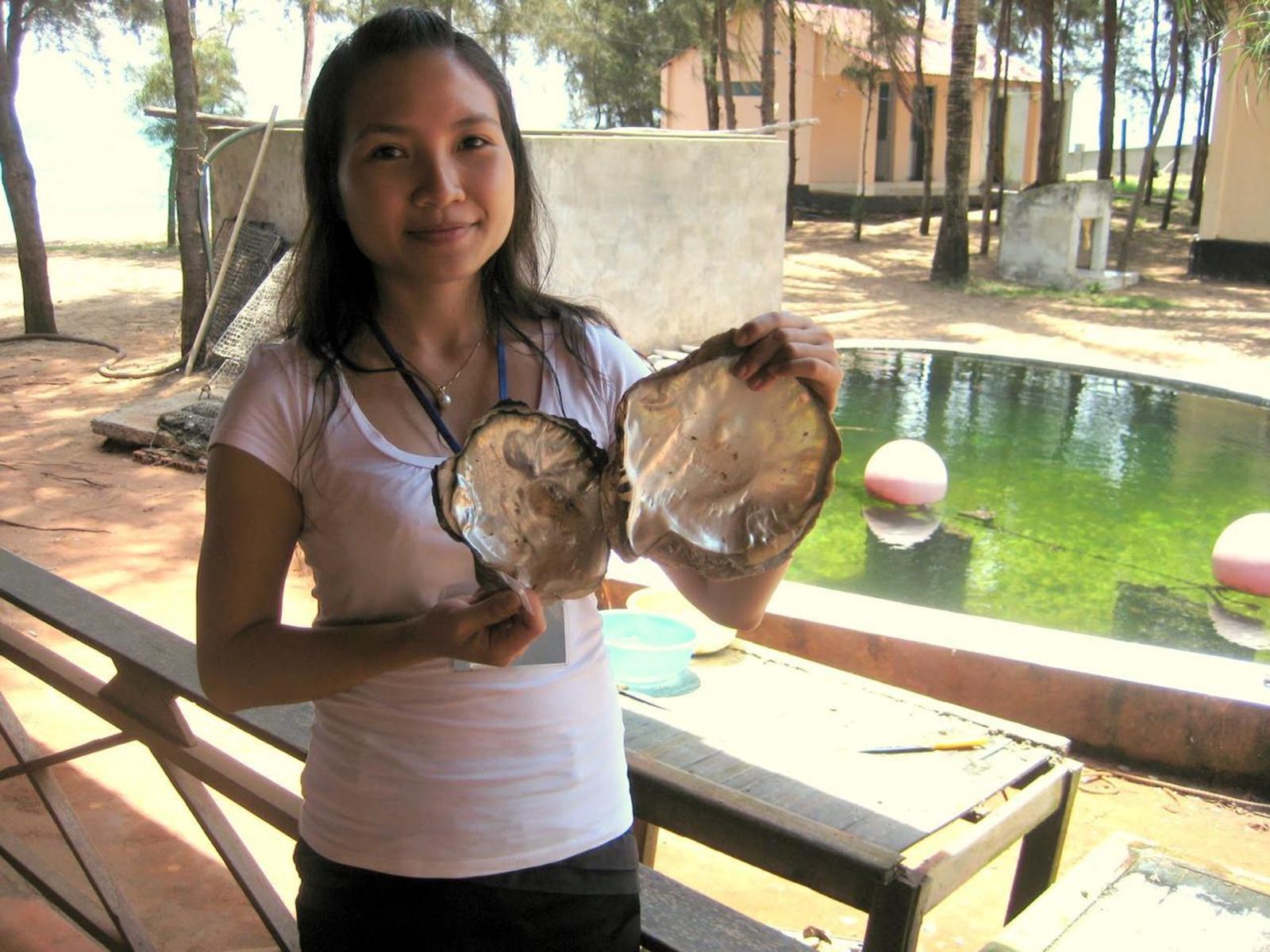 Жемчужная ферма