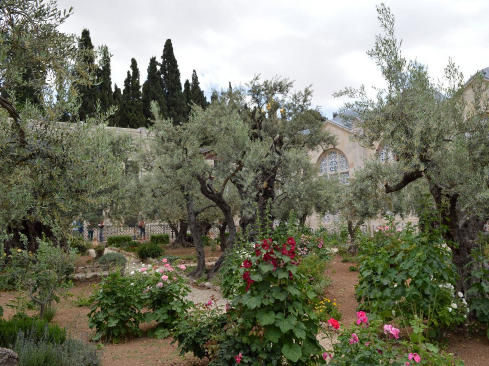 Гефсиманский сад