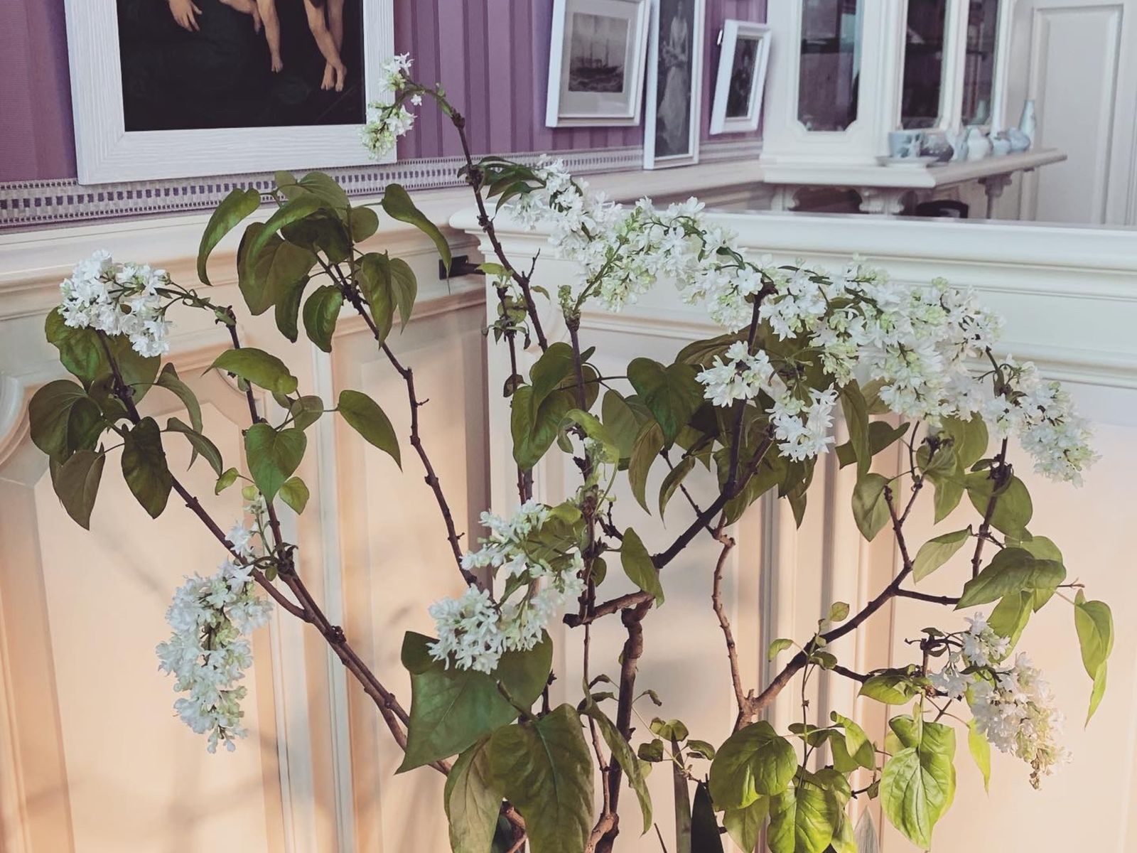 Цветы в Александровском дворце