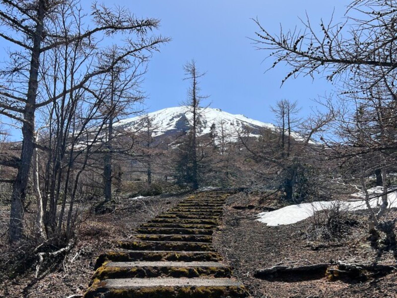 Вид на Фудзи