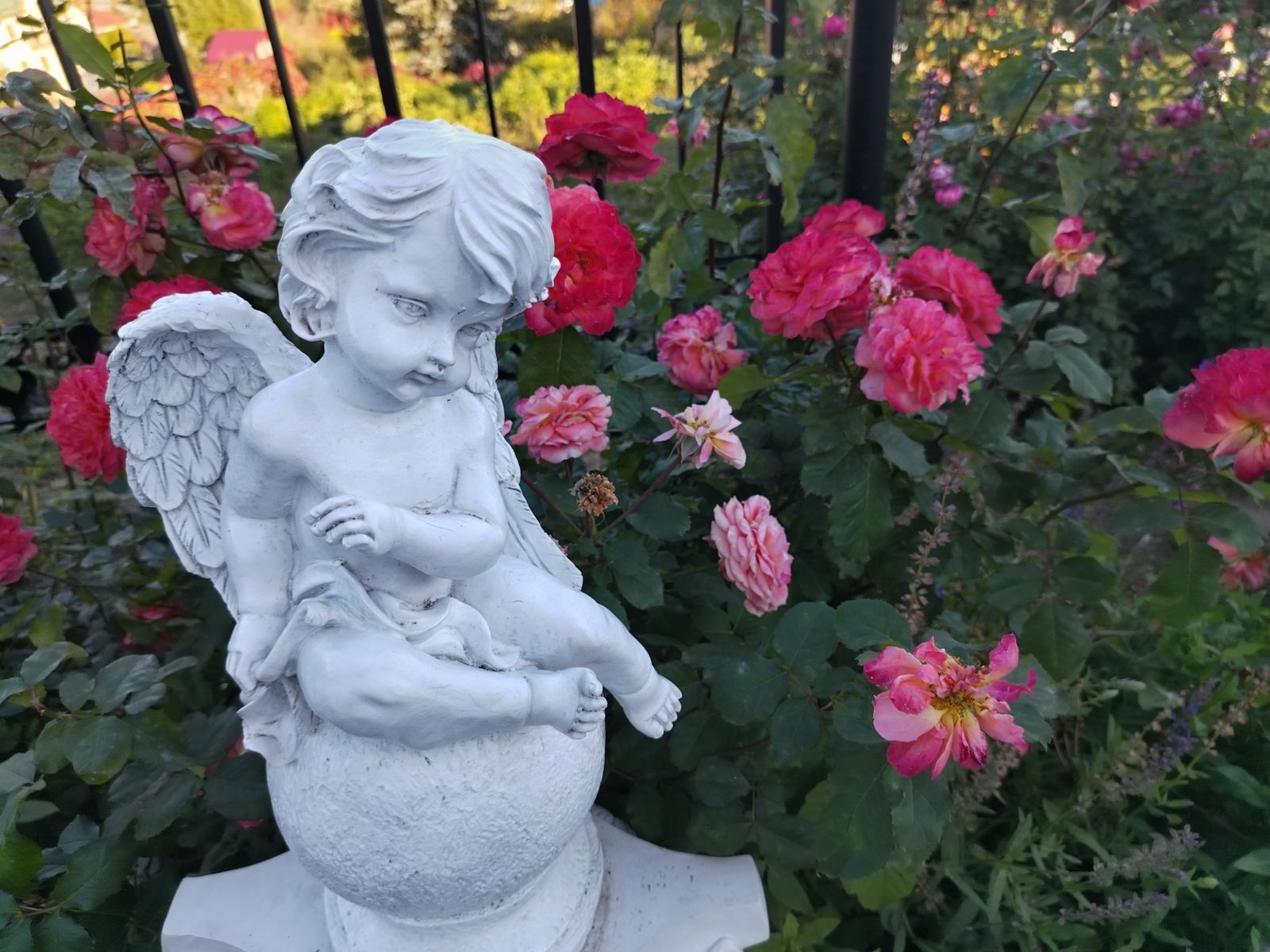 Спасский храм, розарий