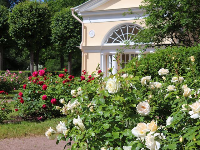 В Павловск: экскурсия в «самый томный и самый тенистый» парк — фото 2
