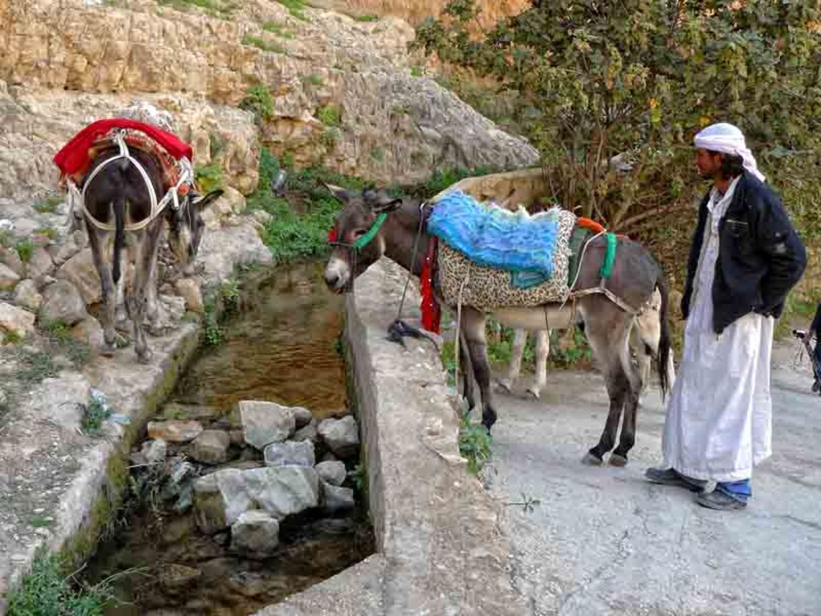 Местные жители