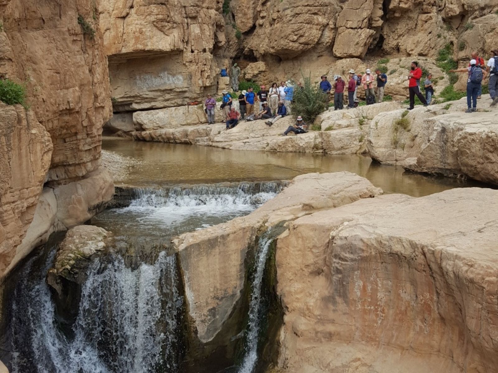 Оазис Иудейской пустыни