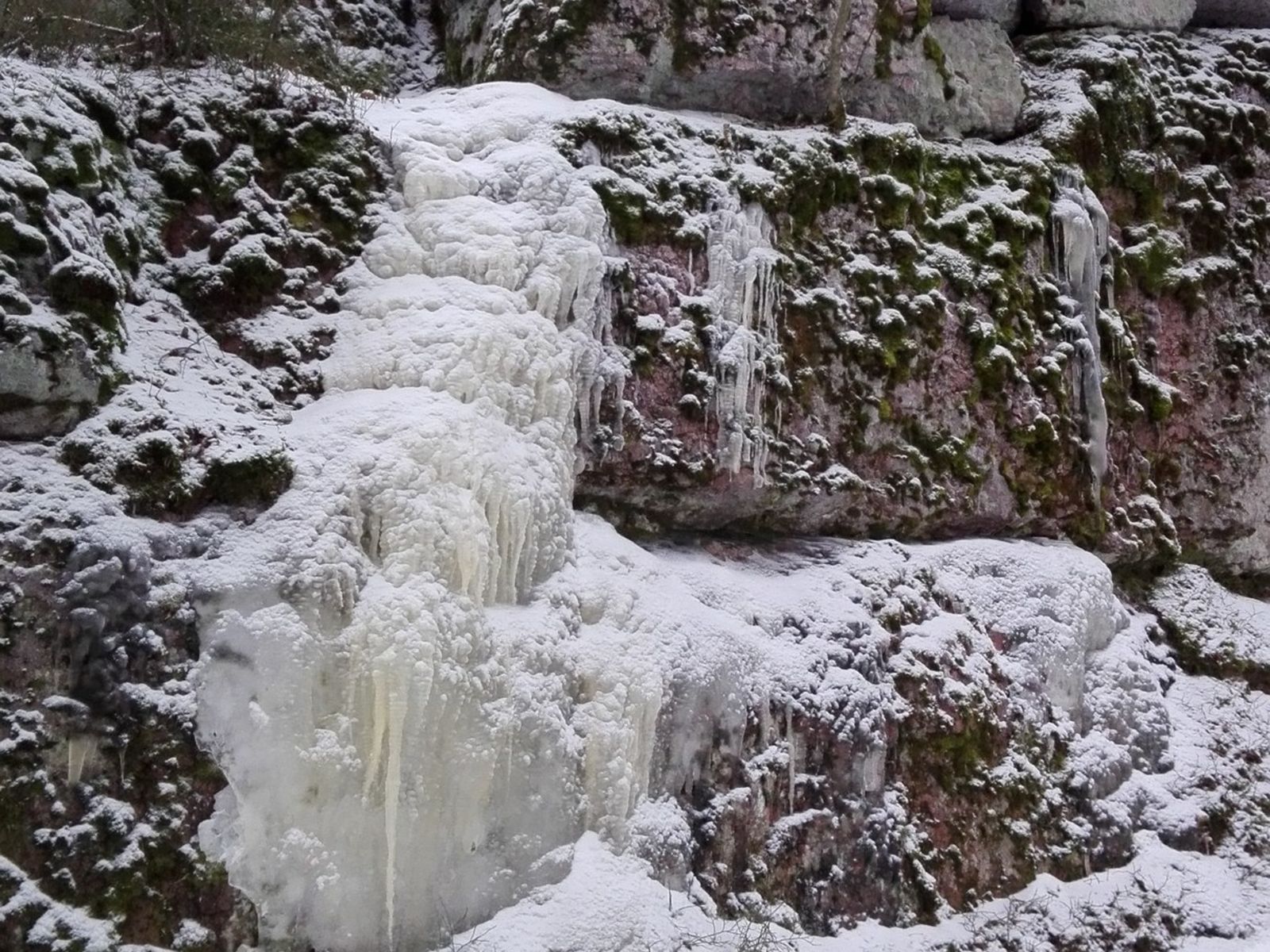 Парк Монрепо зимой