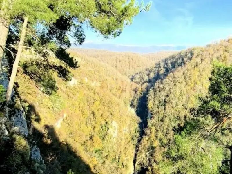 Панорама