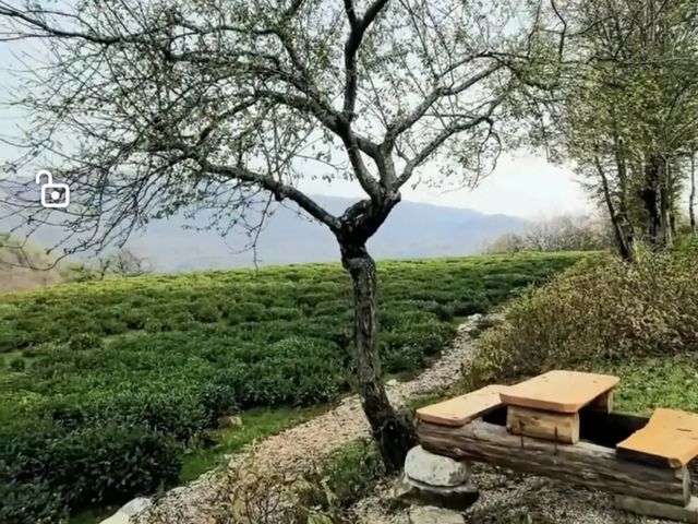 Индивидуальная экскурсия "Горный Сочи: каньоны и водопады" — фото 2