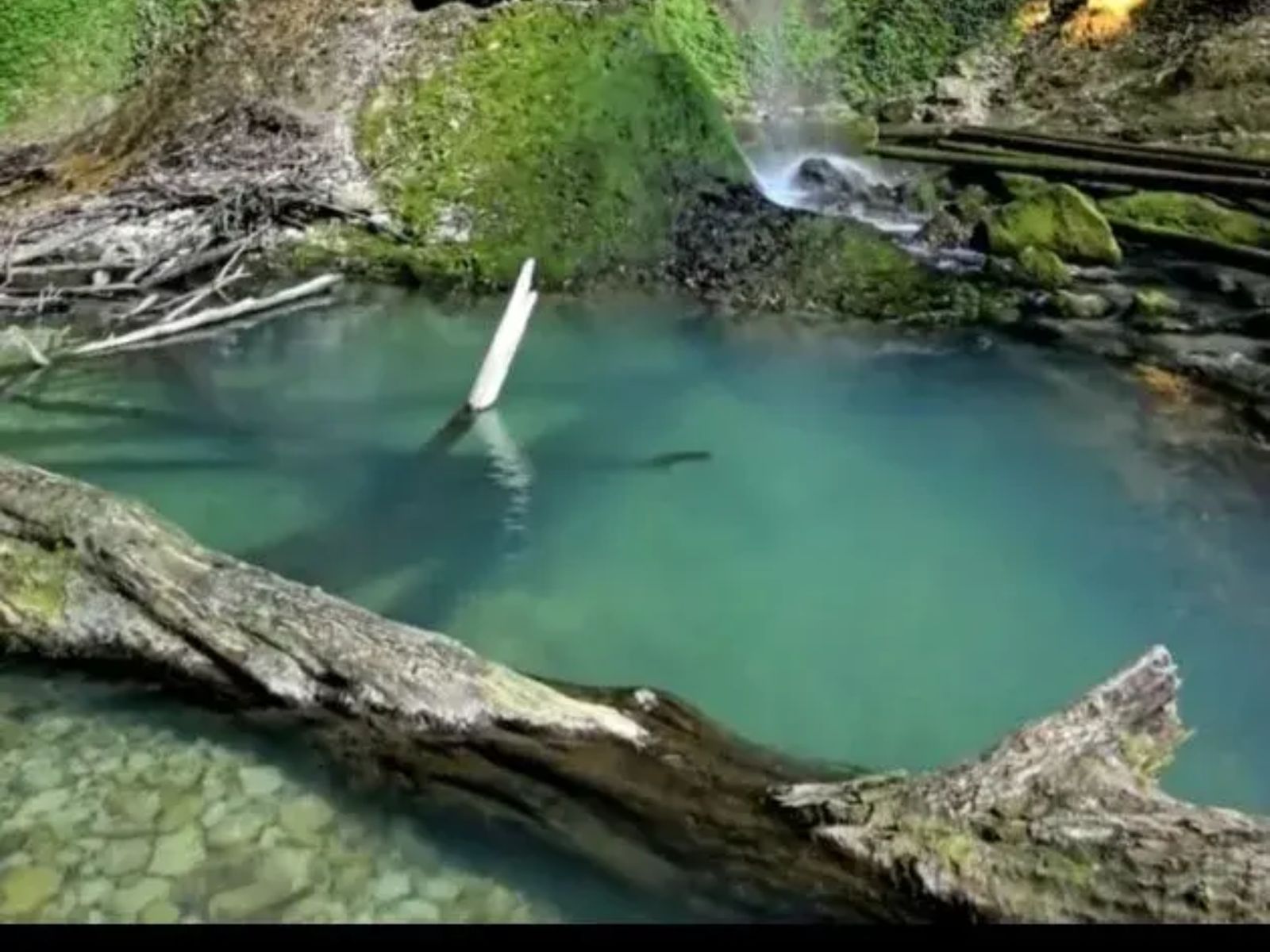 На экскурсии 