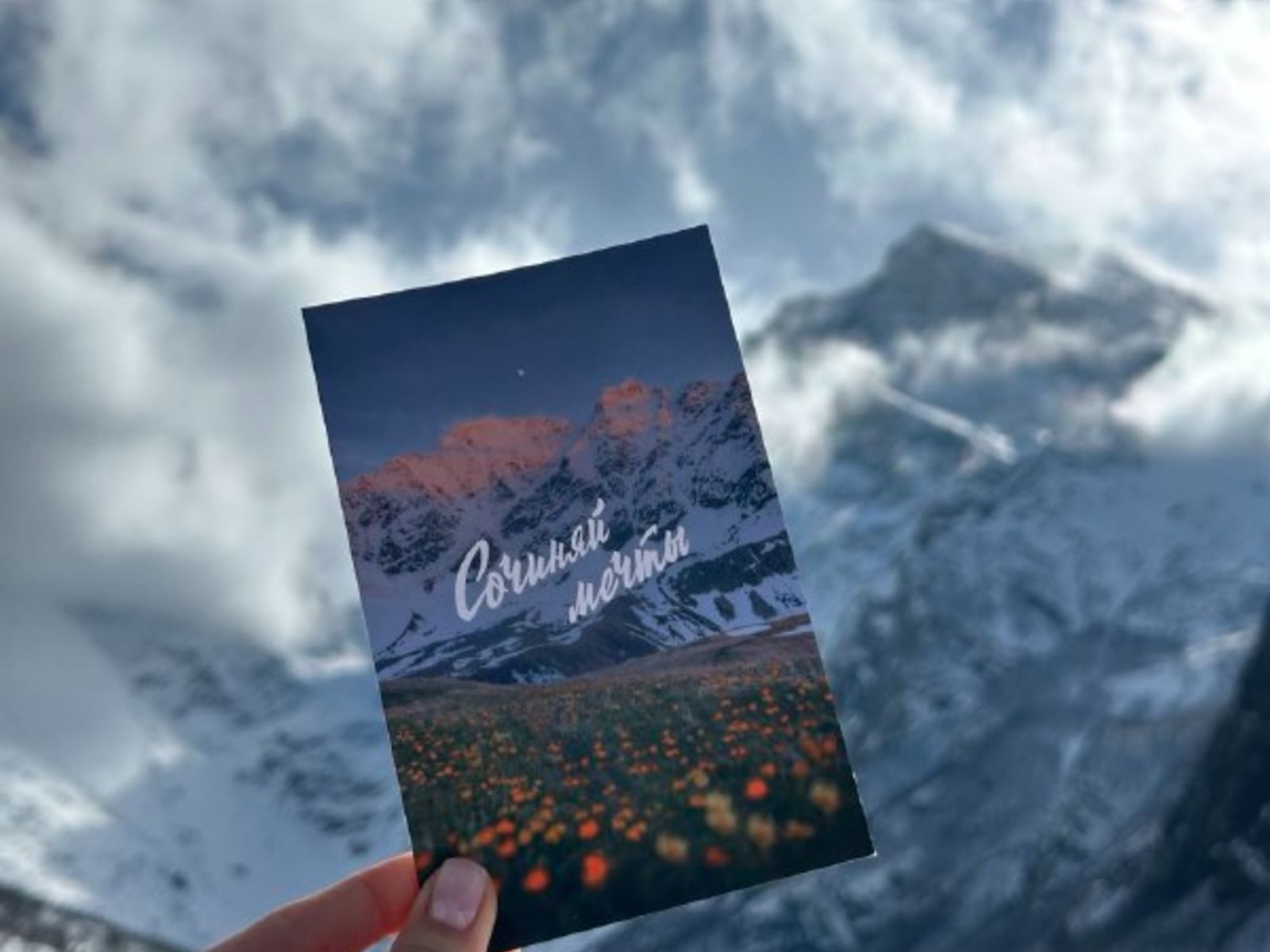 На фоне гор