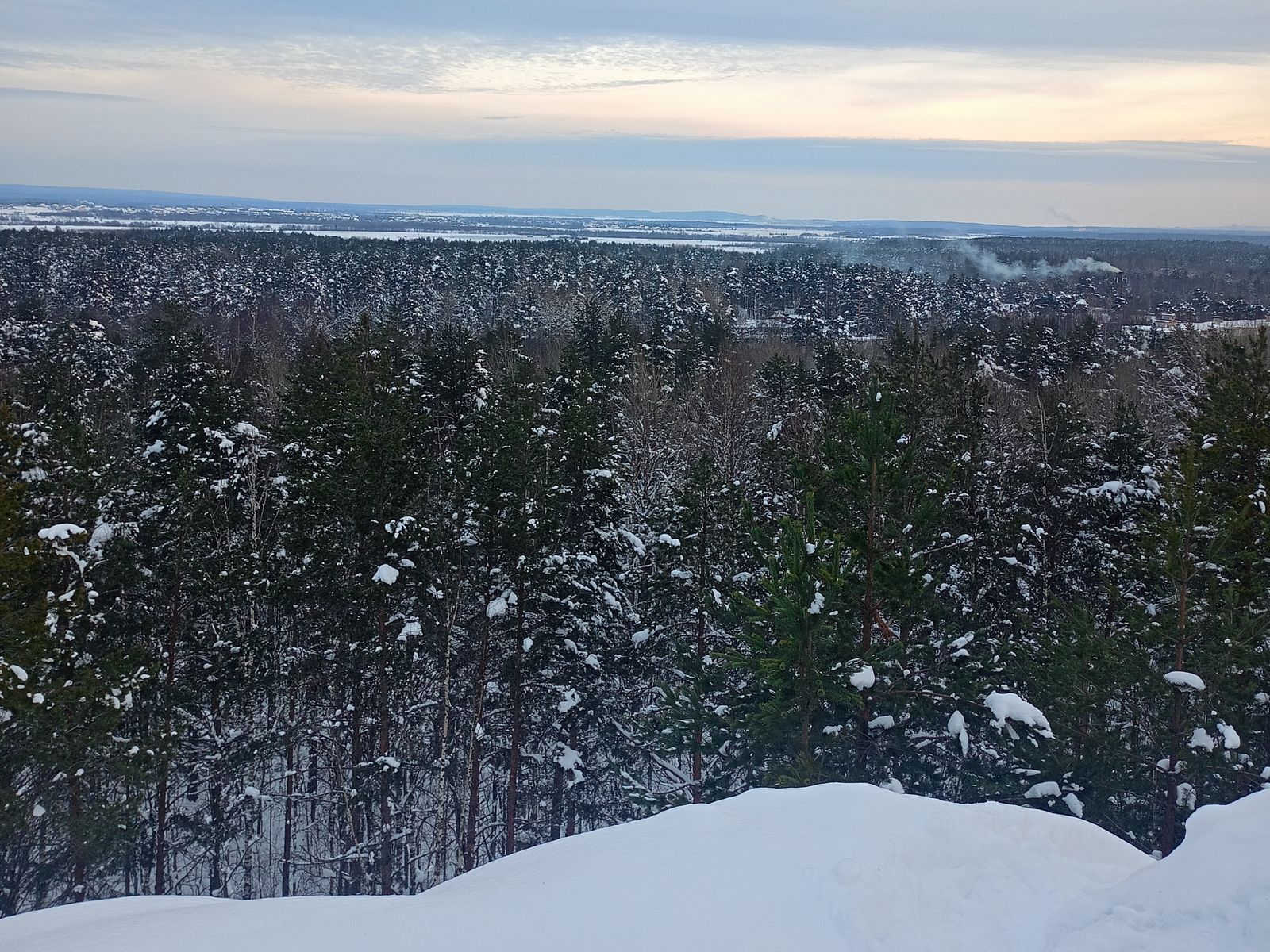 На прогулке