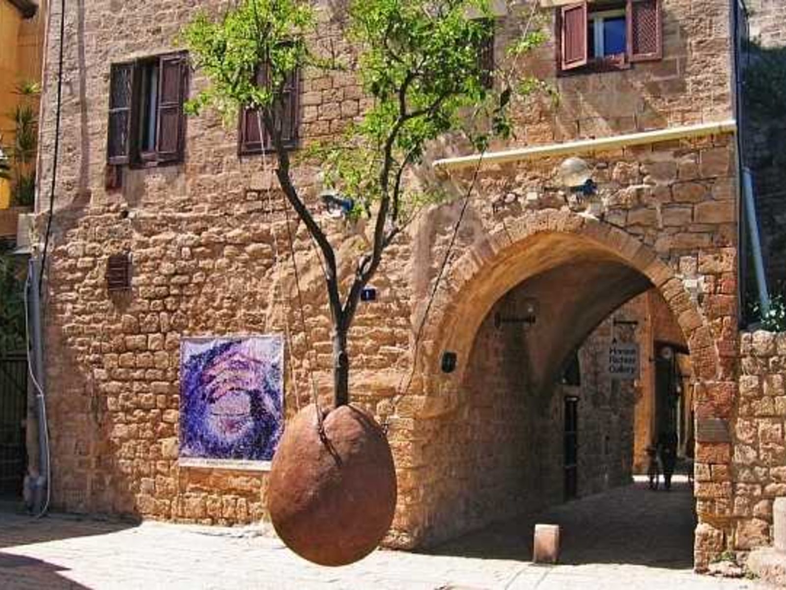 Апельсиновое дерево