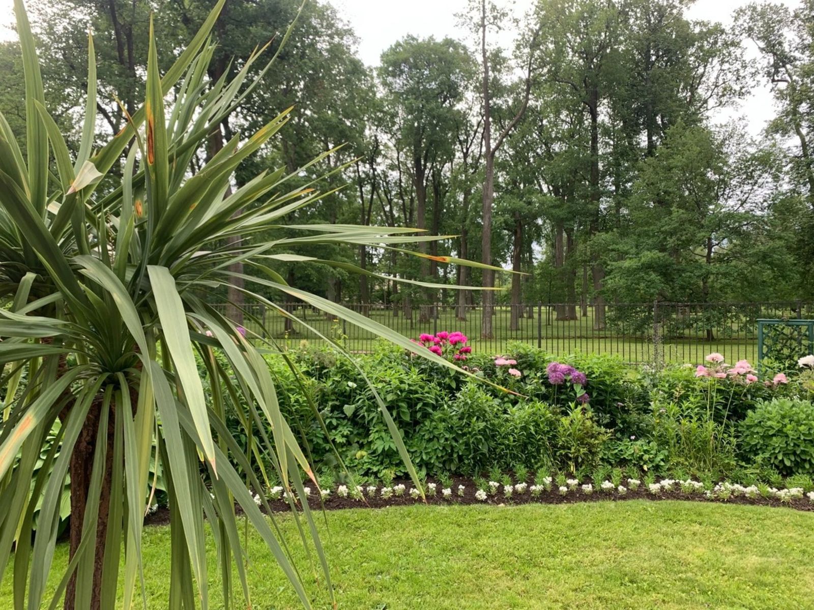 В парке Александрия