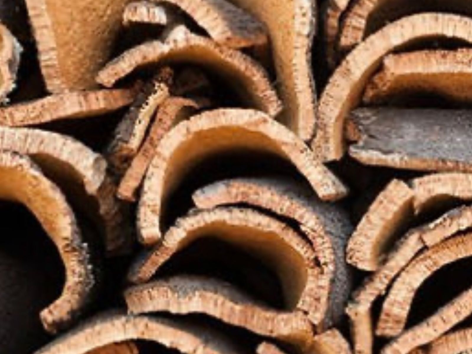 Кора пробкового дерева