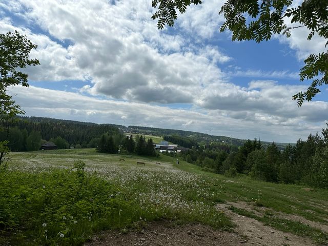 Сказки Пермского леса: обзорная экскурсия в музей Хохловка