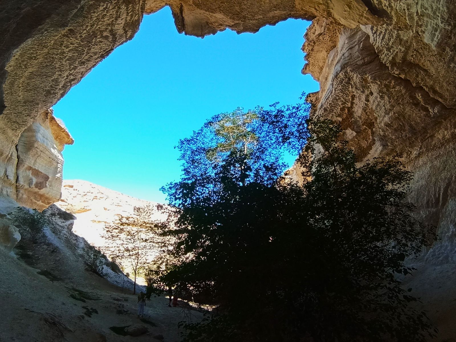 Капамсай, оазис