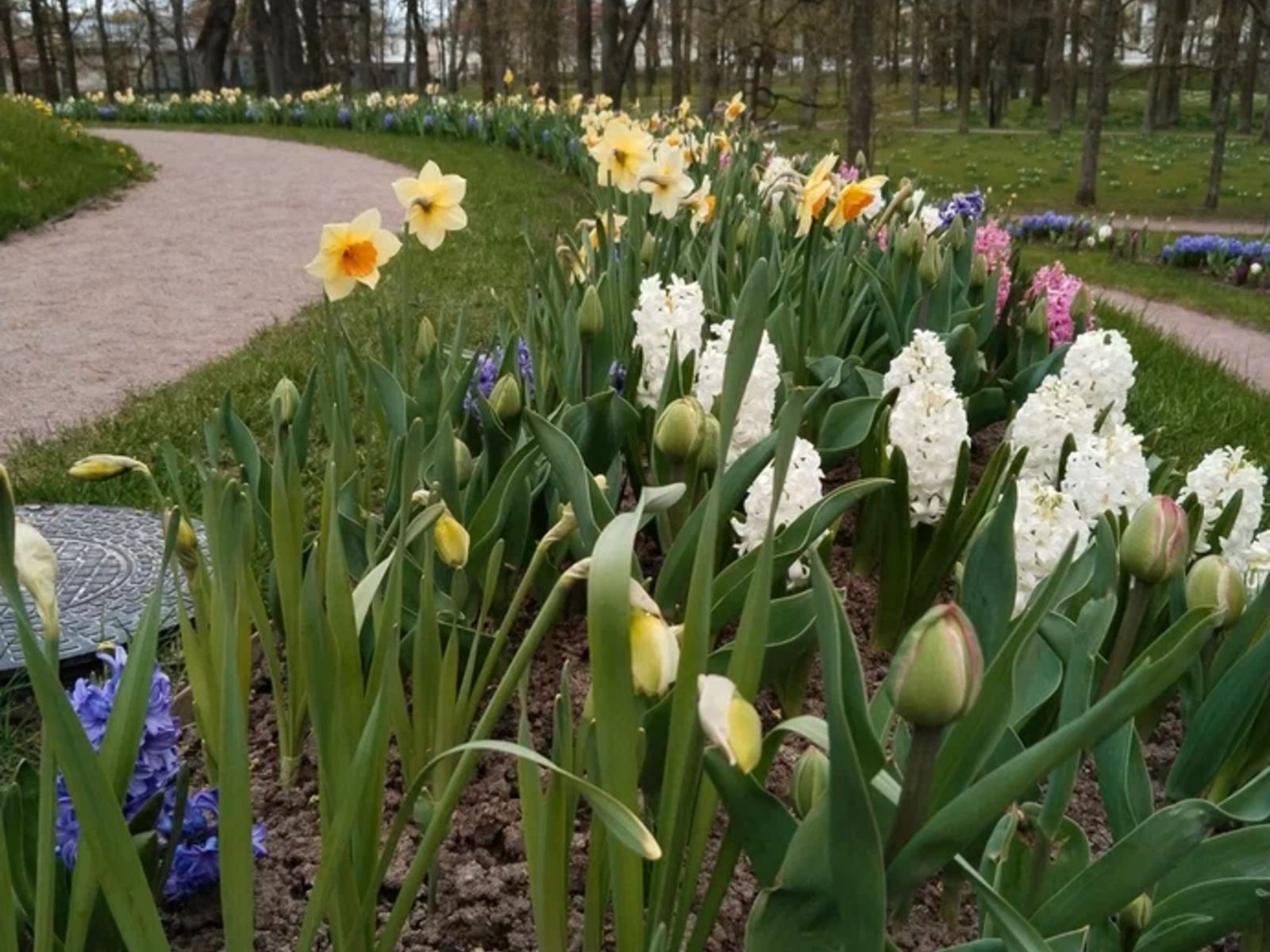 Гатчинский парк